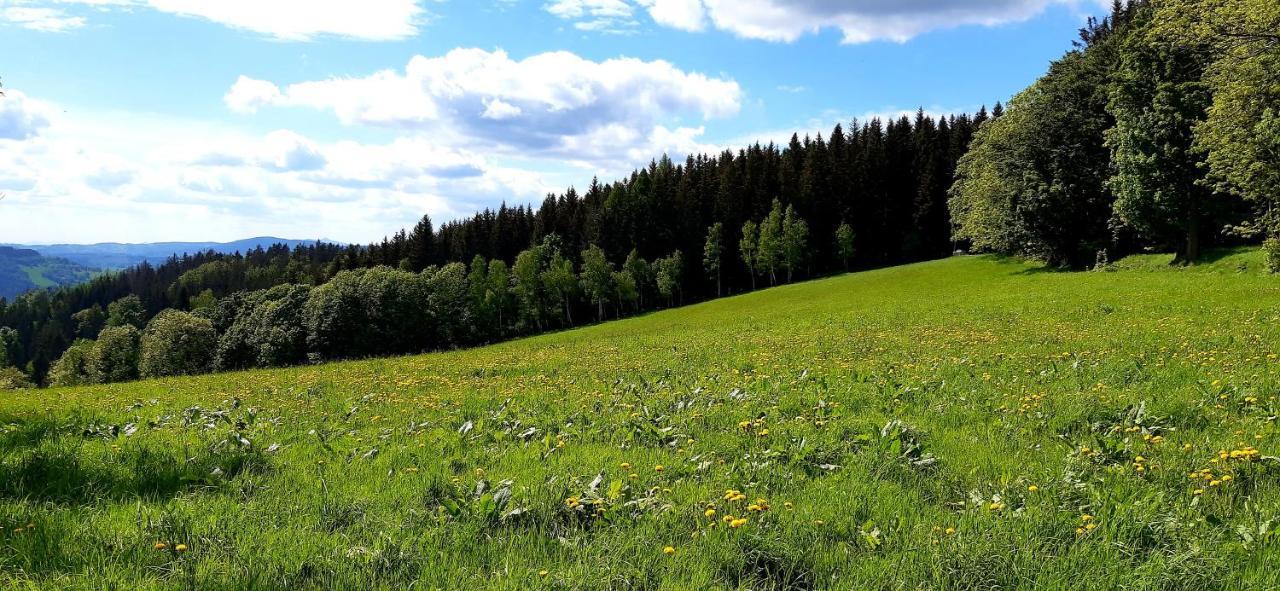 Apartman Hygge Bratrouchov Jablonec nad Jizerou Exterior photo